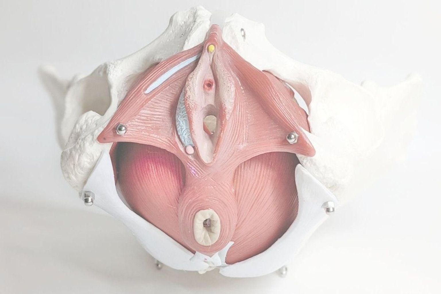Masaje Perineal