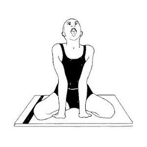 Yoga para la Ansiedad Simhagarjanasana