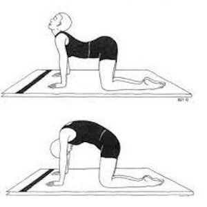 Yoga para la ansiedad Marjari Asana