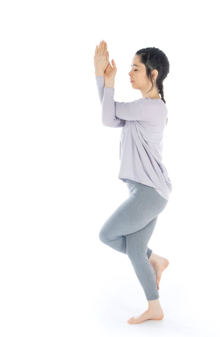 Yoga integral – Shivalans Yoga Integral Escuela Bihar
