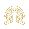 respiracion icono – Shivalans respiracion icono – Shivalans
